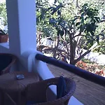 Adriana Amalfi