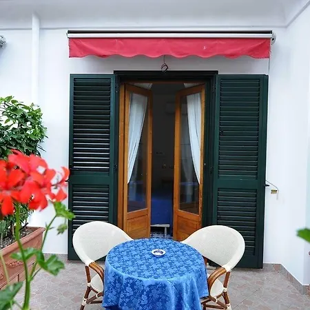 Adriana Amalfi